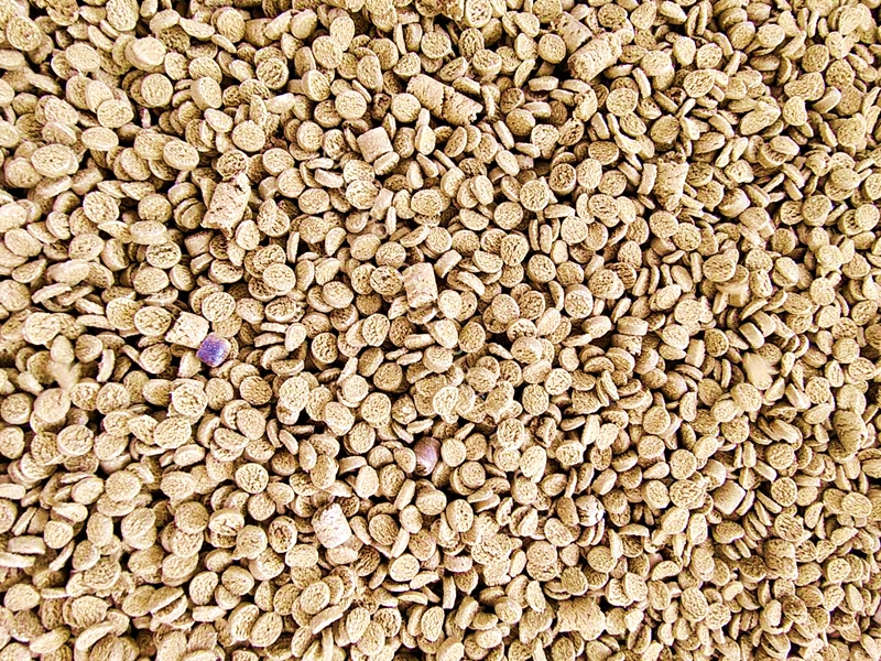 Nhiệt độ xử lý của máy tạo hạt WPC là gì?