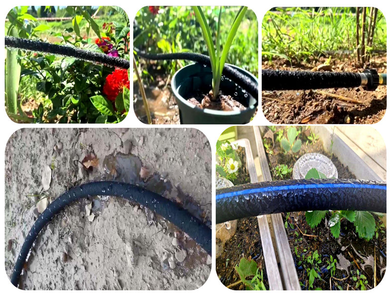 Áp dụng ống tưới tiêu nano trong nước cát