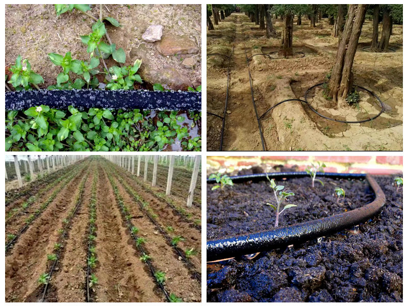 Máy ống tưới cao su