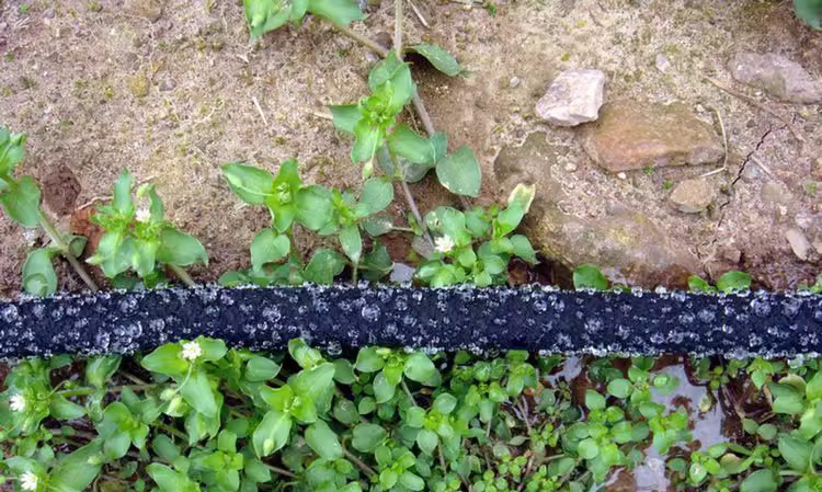 Tại sao ống cao su có thể được sử dụng làm ống ngâm?