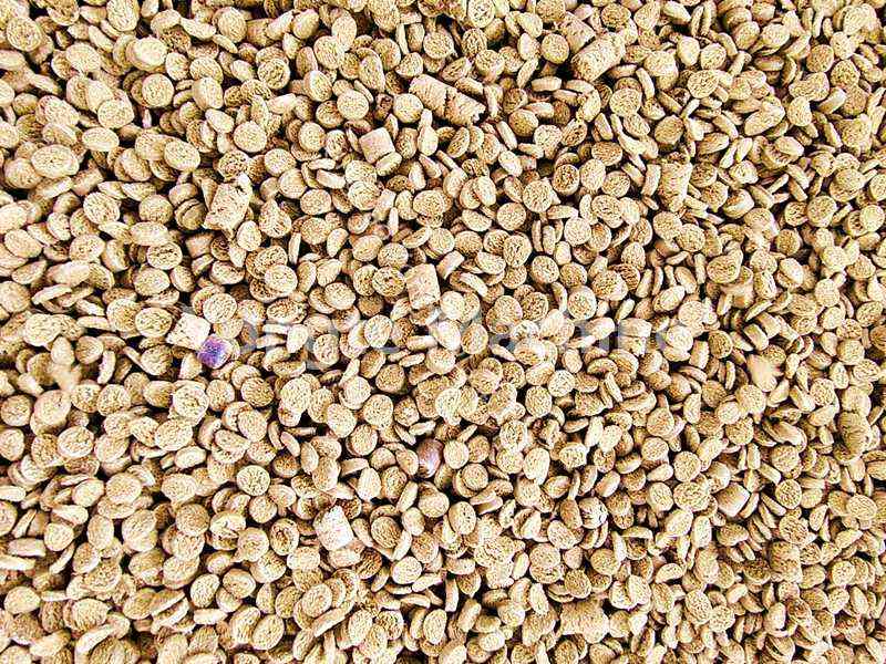 Máy tạo hạt PP/PE WPC